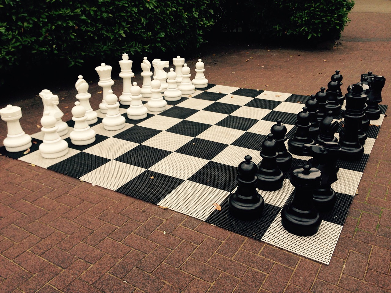 chess-865715_1280